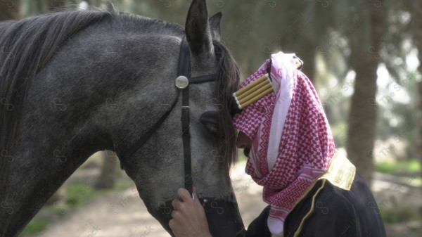 محمد الشهري